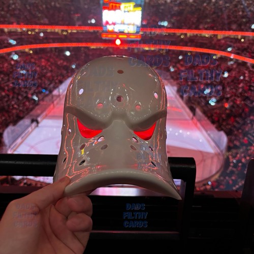 Anaheim mighty ducks nhl - ducks,